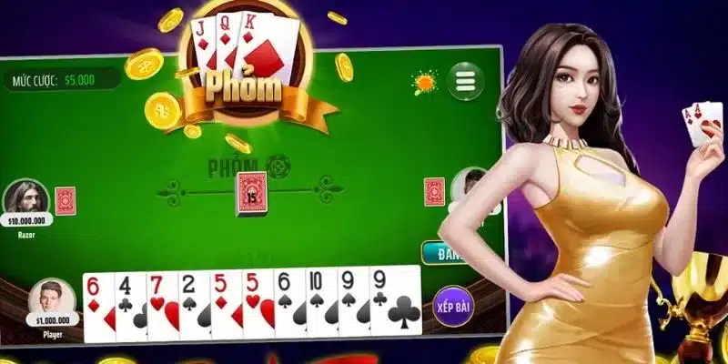 Nguyên tắc hoạt động trong phỏm